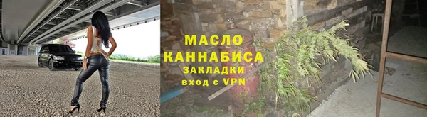 индика Абаза