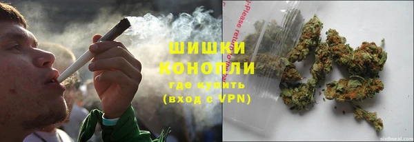 индика Абаза