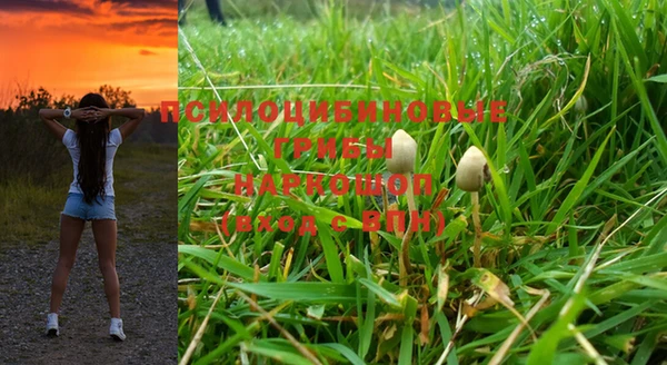 ECSTASY Алзамай