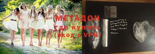 индика Абаза