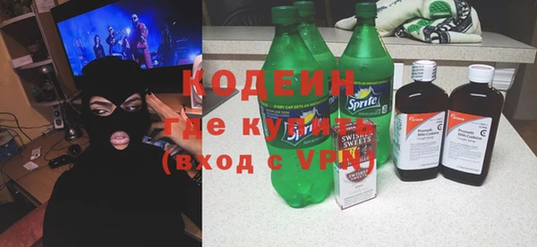 индика Абаза
